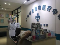 -睿金宠物医院·CT·肿瘤·骨外科