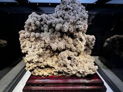 -正佳自然科学博物馆