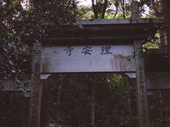 -龙井村