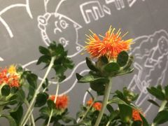 -研途咖啡馆(健康路店)