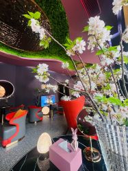 -花隐·美芙炫海菲秀皮肤管理中心