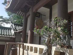 -鸿山公园