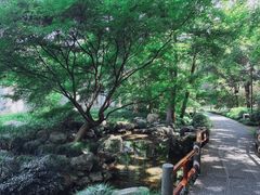 -杭州植物园