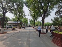 -文瀛公园