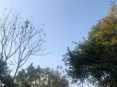 -四川大学华西医院-地下停车场