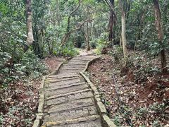 -海南铜鼓岭景区