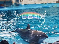 -南昌动物园