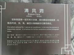 -灵栖洞天