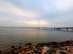 -深圳湾公园(南山区)