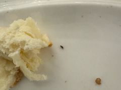 -红房子西菜馆(淮海中路店)