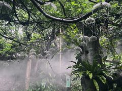 -青青世界