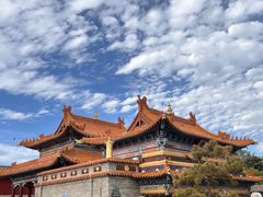 -大召无量寺