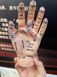 -道宾春健康管理中心