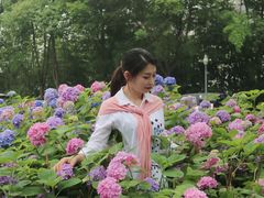 -临江·阅炉