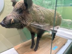 -国家自然博物馆