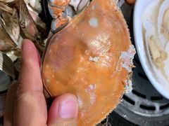 -蓝珊甄选海鲜自助·火锅大排档(近阿那亚店)