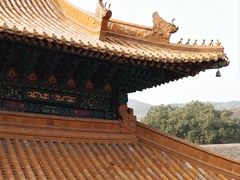 -普陀山风景名胜区-法雨禅寺
