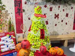 -Tennislife Point网球学练馆(曲江馆)