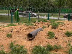 -秦皇岛野生动物园