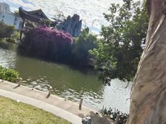 -荔湾湖公园
