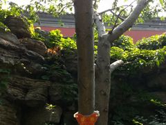 -郭守敬纪念馆