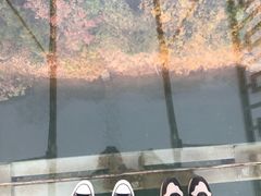 -石燕湖生态旅游景区