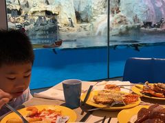 -帝企鹅自助餐厅•儿童岛•真企鹅(长隆企鹅酒店)