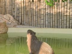 -珠海长隆海洋王国