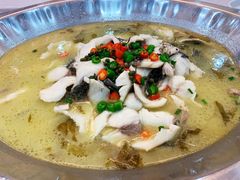 四川酸菜鱼-粥旺府(月环里店)
