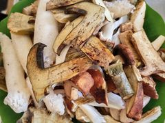 -野菌园·野生菌火锅首创第一家(关兴路总店)