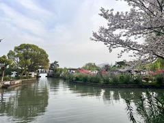 -无锡蠡湖国家湿地公园-蠡园