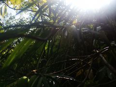 -白云源风景区