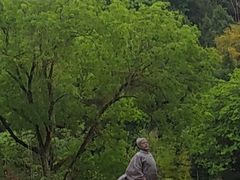 -子昂故里文化旅游区