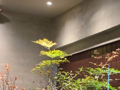 -森SPA·泰式按摩·精油Massage(宝安中心店)