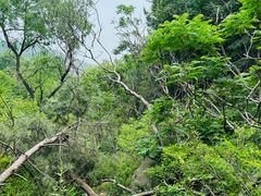 -北京鹫峰国家森林公园