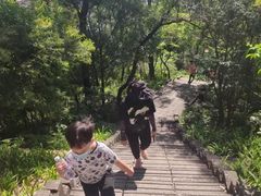 -小南山公园
