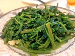 -队长面馆 La Pasteria del Capitano