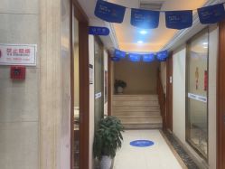 -碧莲盛·不剃发植发