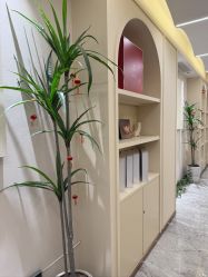 -宝馨月月子中心(友谊医院店)