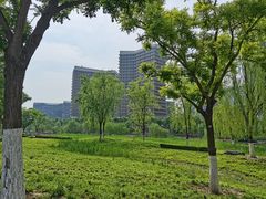 -西海子公园