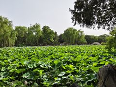 -莲池书院博物馆