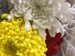 -上海市龙华烈士陵园