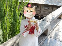 -步步高桥头糕