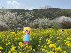 -苏州上方山国家森林公园