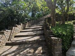 -小南山公园
