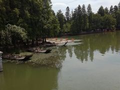 -东湖落雁景区