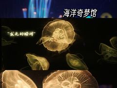 -欢乐海岸海洋奇梦馆