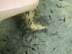 -鱼凫国都大酒店温泉
