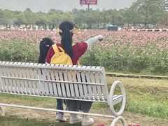 -盈香心动乐园