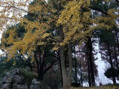 -食膳公园包子铺(烈士公园店)